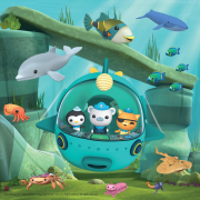 octonauts 0 lisi